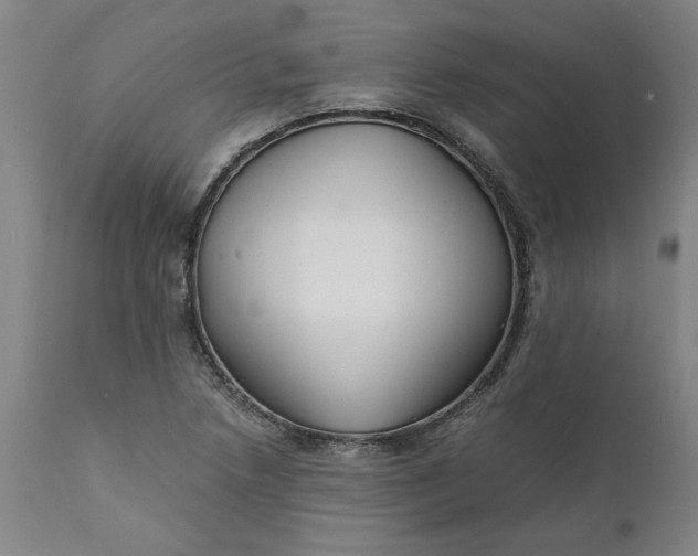 X0000112151218200908281332