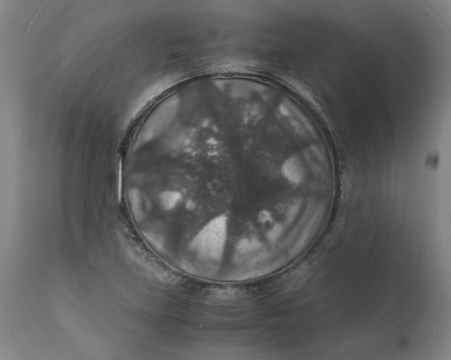 X0000112151219200908281332