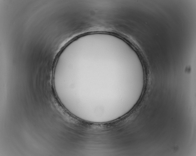 X0000112151220200908281332