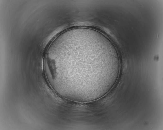 X0000112151221200908281332