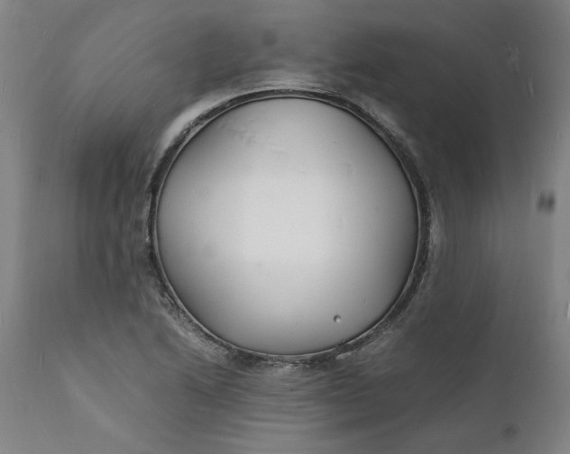 X0000112151222200908281332