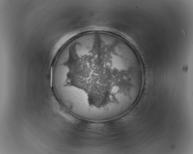 X0000112151223200908281332