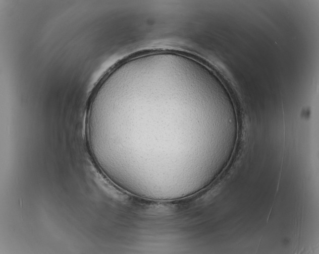 X0000112151224200908281332