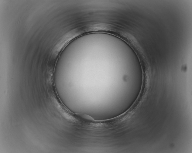 X0000112151225200908281332