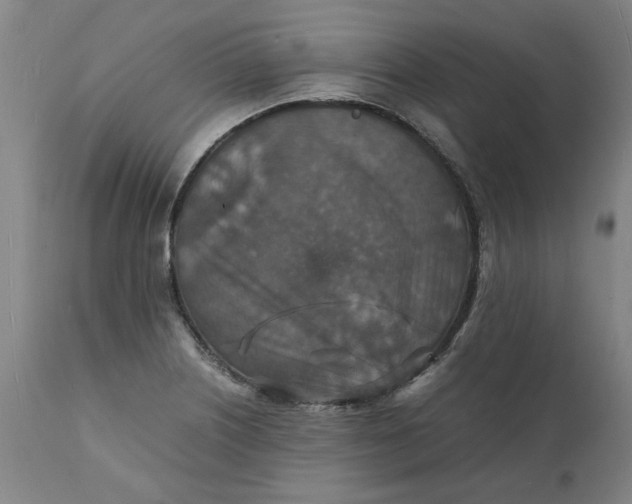 X0000112151226200908281332