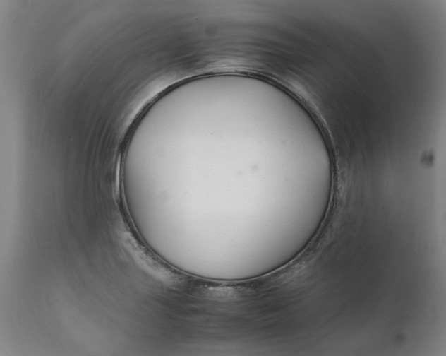 X0000112151227200908281332