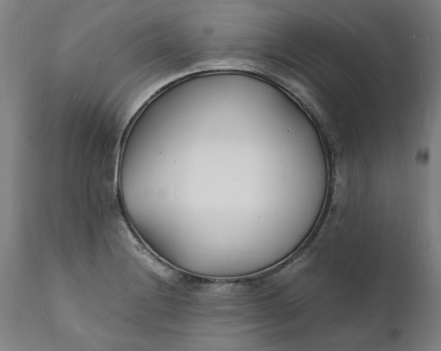 X0000112151228200908281332
