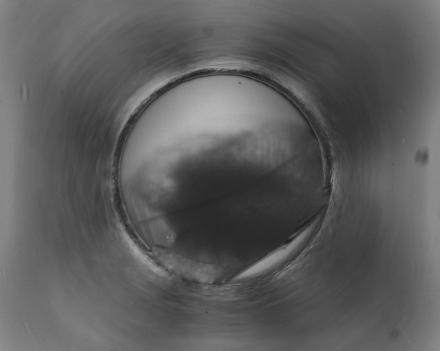 X0000112151229200908281333