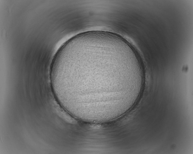 X0000112151230200908281333