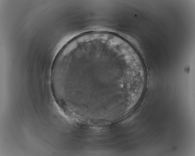 X0000112151231200908281333