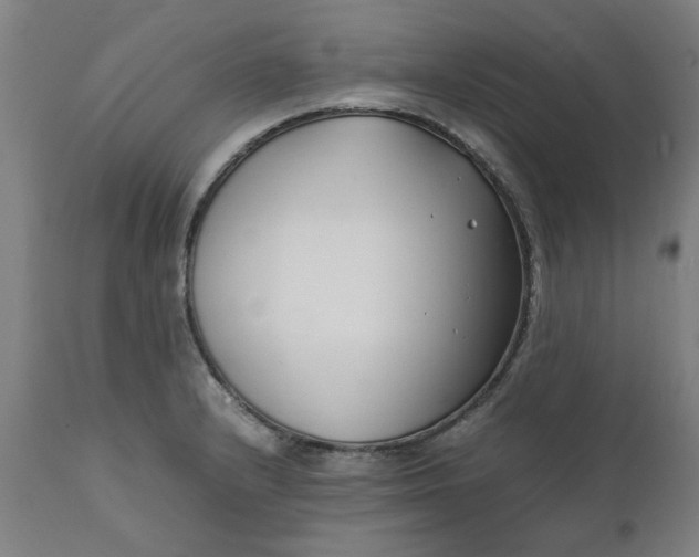 X0000112151232200908281333