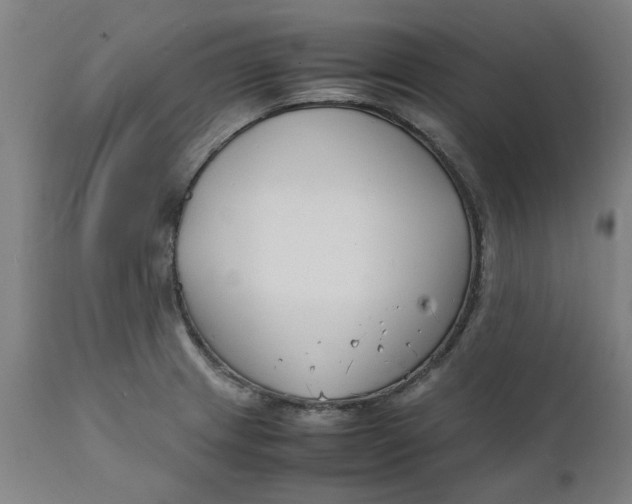 X0000112151233200908281333