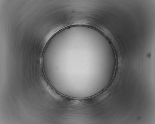 X0000112151234200908281333