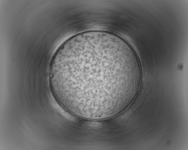 X0000112151235200908281333