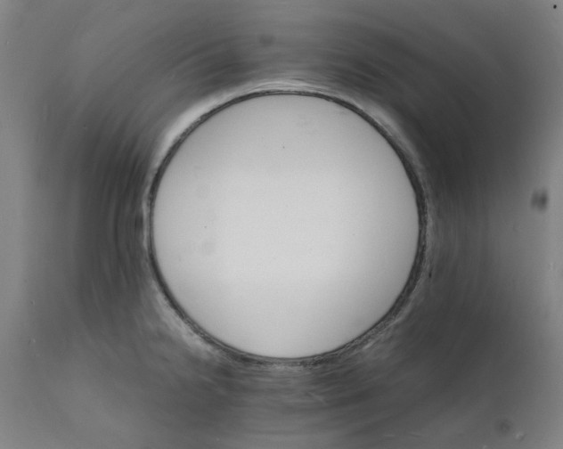 X0000112151238200908281333