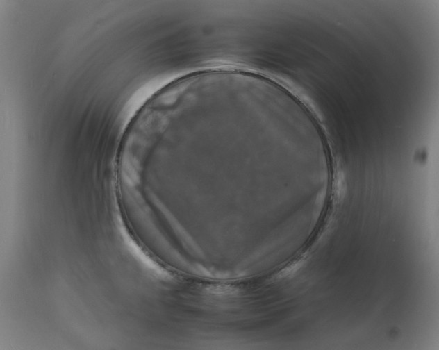 X0000112151239200908281333