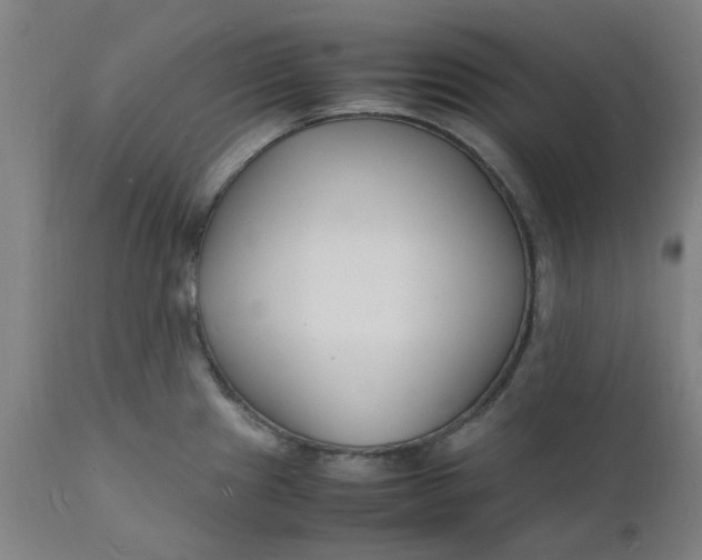 X0000112151241200908281333