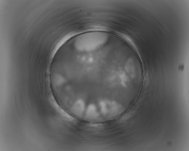 X0000112151243200908281333