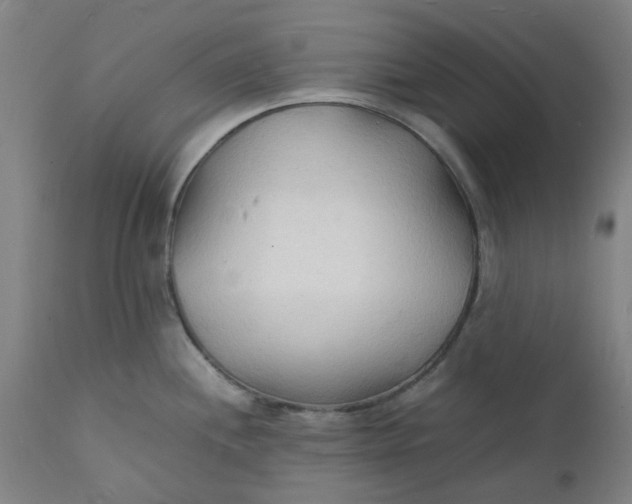 X0000112151244200908281333