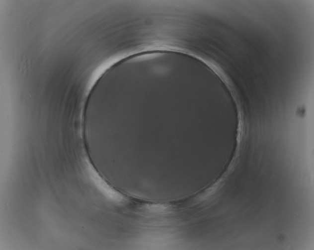 X0000112151246200908281333