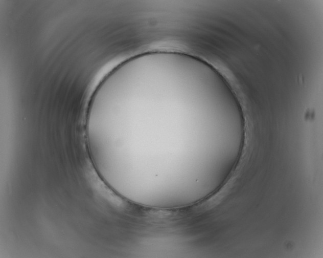 X0000112151248200908281333