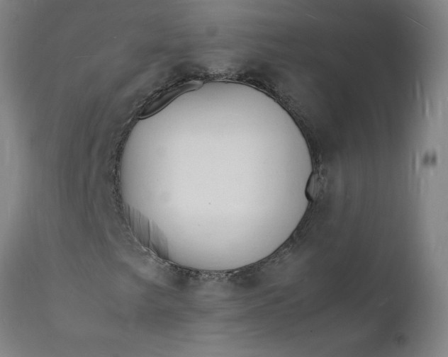 X0000112151249200908281332