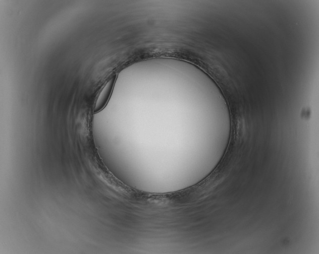 X0000112151250200908281332