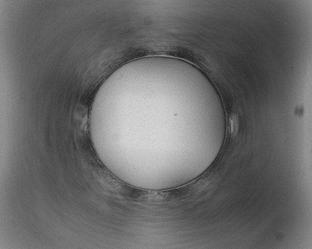 X0000112151251200908281332
