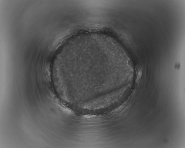 X0000112151252200908281332