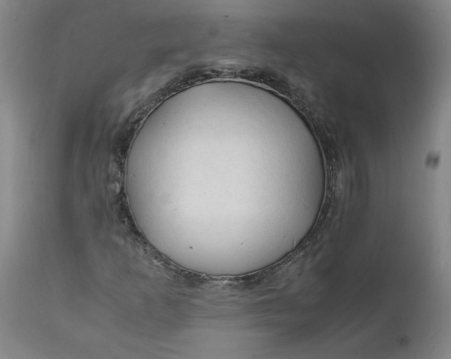 X0000112151253200908281332