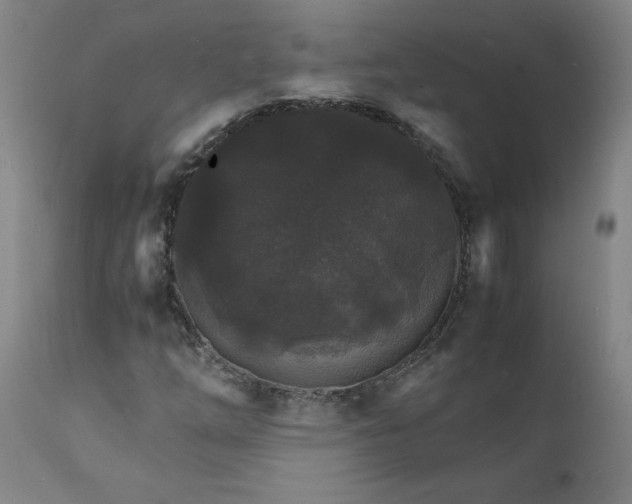 X0000112151254200908281332