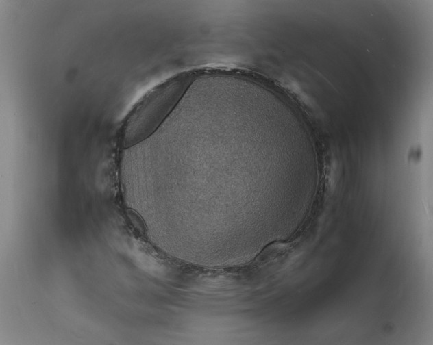 X0000112151256200908281332