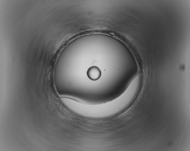 X0000112151257200908281332