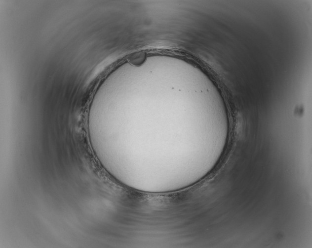 X0000112151258200908281332