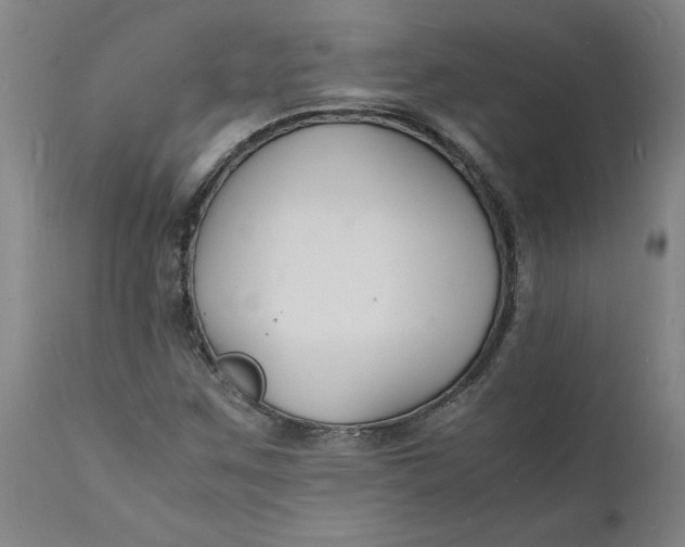 X0000112151259200908281332