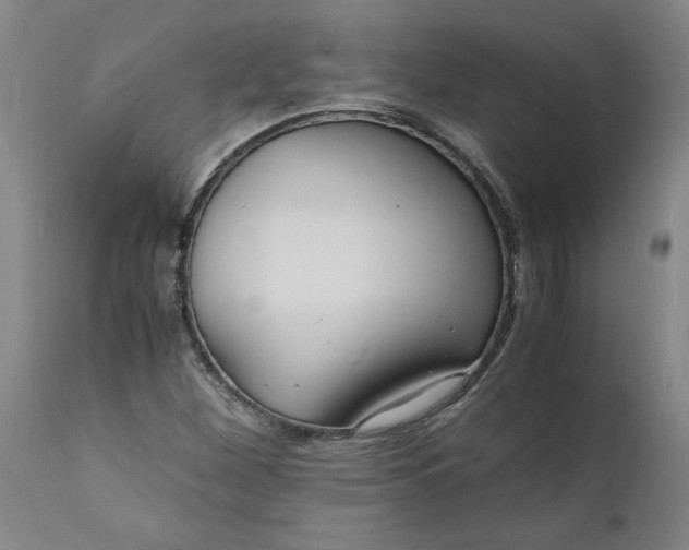 X0000112151260200908281332