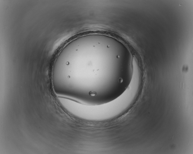X0000112151261200908281332