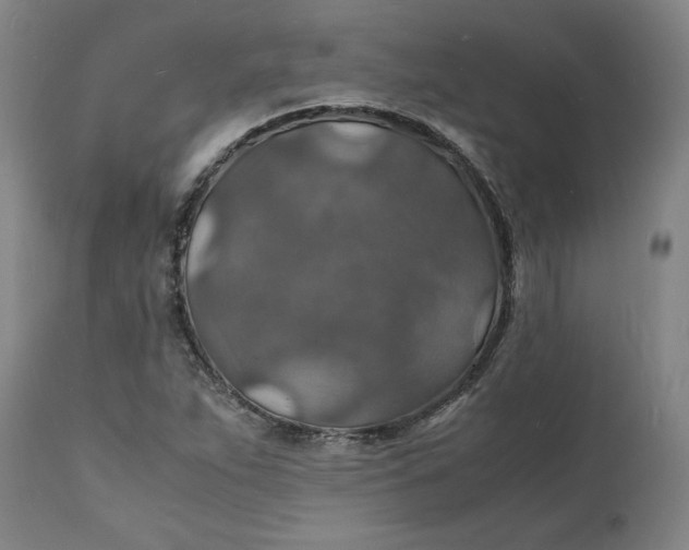 X0000112151263200908281332