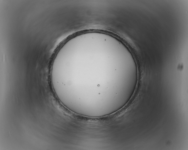 X0000112151264200908281332