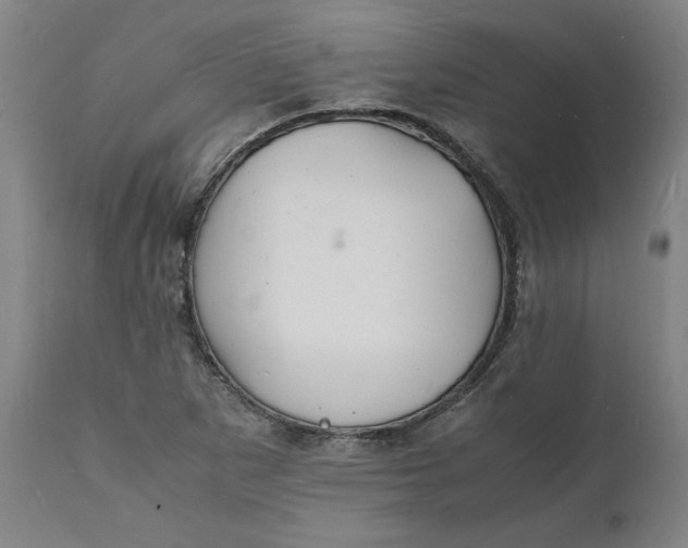 X0000112151265200908281332
