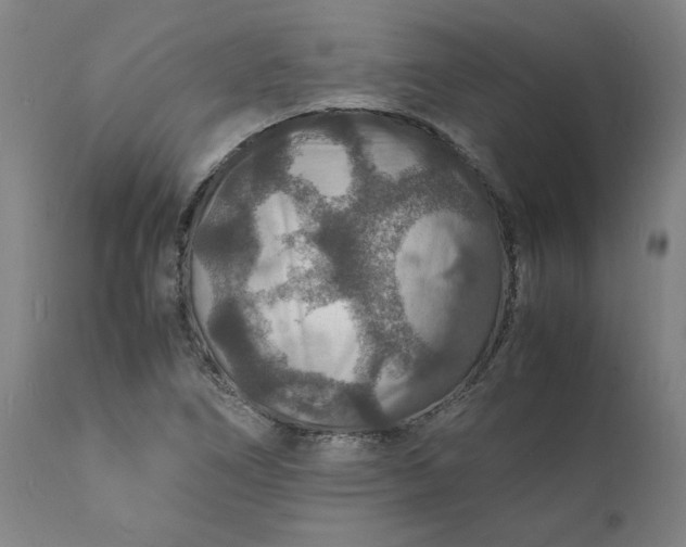 X0000112151266200908281332