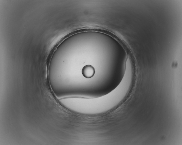 X0000112151269200908281332