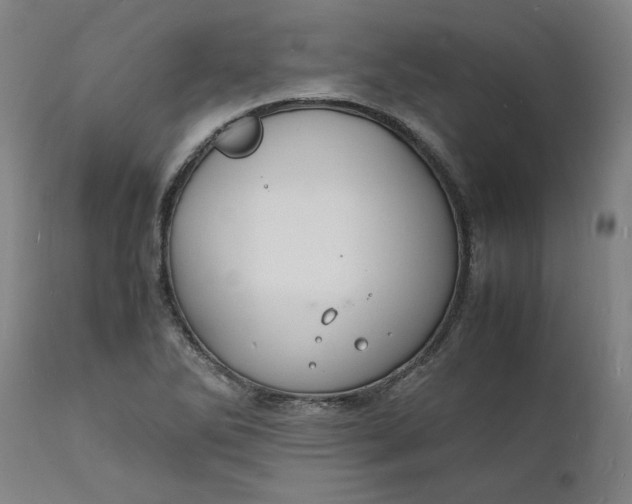 X0000112151270200908281332
