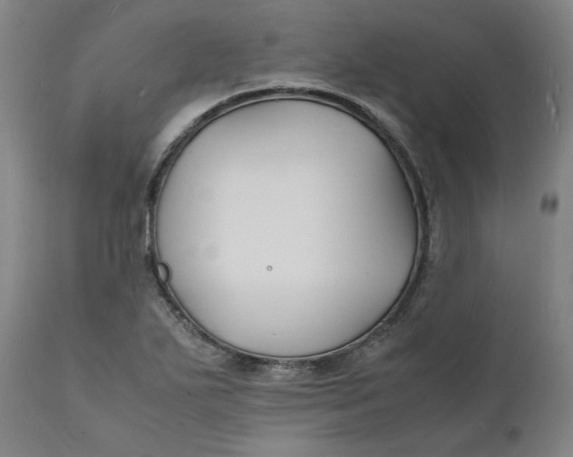 X0000112151271200908281332