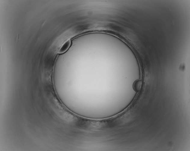 X0000112151273200908281332