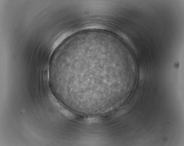 X0000112151274200908281332