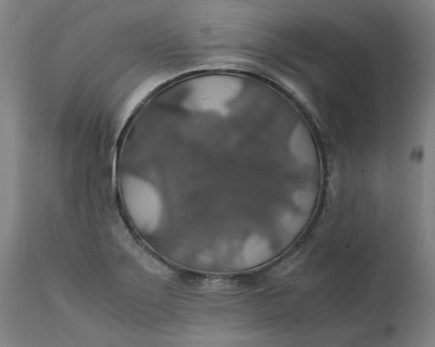 X0000112151275200908281332