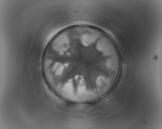 X0000112151279200908281331
