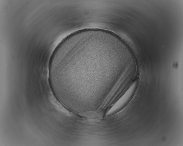 X0000112151280200908281331