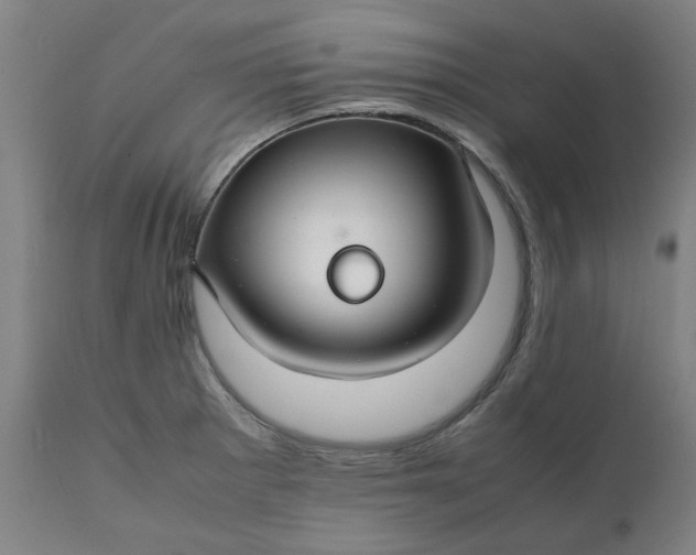 X0000112151281200908281331